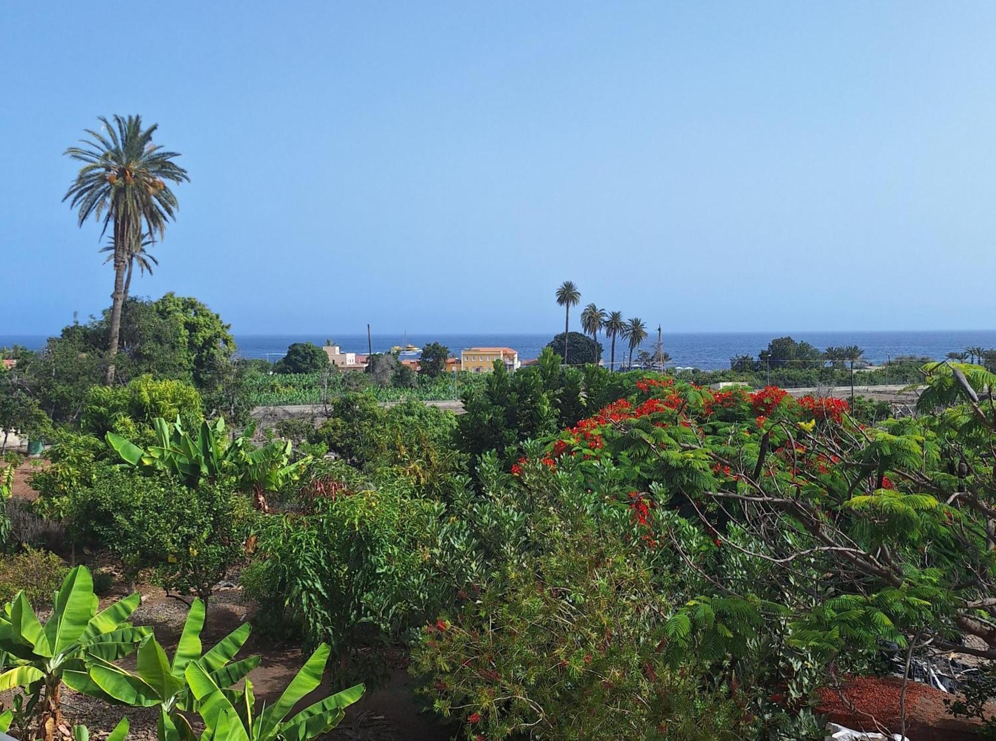 Apartamentos Bellavista Gomera Playa de Santiago (Isla de la Gomera) Exterior foto