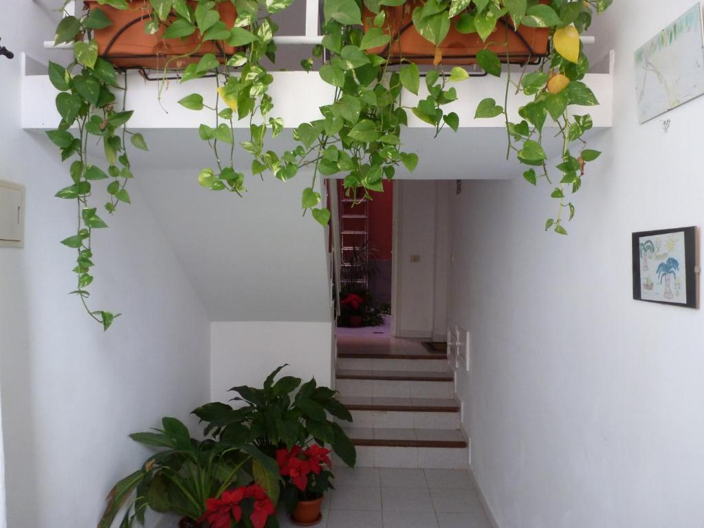 Apartamentos Bellavista Gomera Playa de Santiago (Isla de la Gomera) Exterior foto